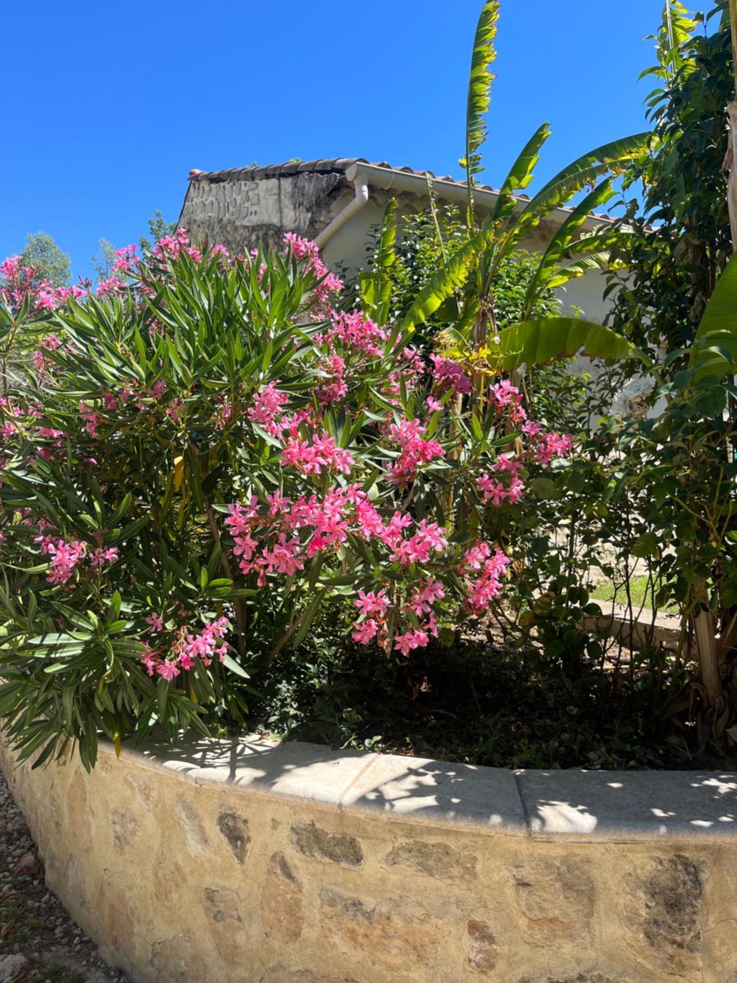Studio Menthe-Clim-Terrain De Petanque-Piscine Collective Saint-Paul-Trois-Chateaux Εξωτερικό φωτογραφία